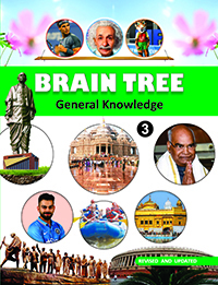 Brain Tree Class--3