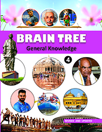 Brain Tree Class--4