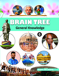 Brain Tree Class--6