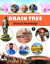Brain Tree Class--7